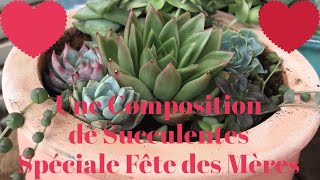 🌵 Créer un jardin de succulentes 🌵  TUTO PLANTES SUCCULENTES [upl. by Oizirbaf]