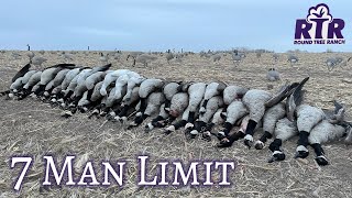 Invited A Couple Strangers To Hunt With Us  Kansas Goose Hunting 2022 [upl. by Debbi]