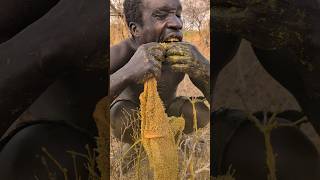 Hadzabe tribe breakfast Meal 😋 So Delicious 🔥hunters africa [upl. by Ellah948]