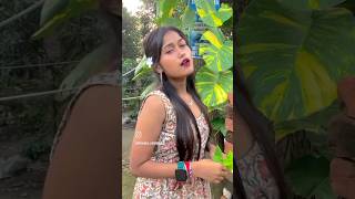 New Santali Vikas 2024  Santali Video 2024 Santali Video Song Santali Status Video 2024 shorts [upl. by Adabel832]