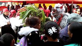 Carnaval Tenango de Doria Hgo 2015 [upl. by Airdnola]