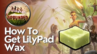 How to Get Lilypad Wax in Grounded [upl. by Yelir]