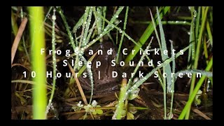 Frogs And Crickets  10 Hours Dark Screen  Sounds For Sleep [upl. by Lemaceon]