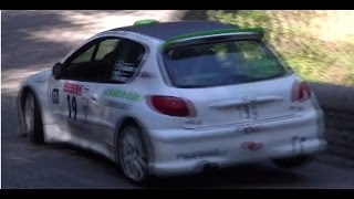 RALLYE DES CAMISARDS 2014 [upl. by Tterb]