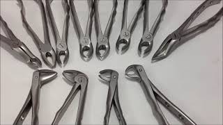 Extraction Forceps Types and Uses  Extraction Forceps in dentistry  Root Forceps Molar Forceps GDC [upl. by Erdnua]