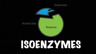 Isoenzyme  Enzymes  Biochemsitry [upl. by Shelia]