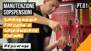 MANUTENZIONE SOSPENSIONI  Smontaggio forcella e sostituzione paraoli Pt1  edgarage [upl. by Alihet]