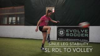 Soccer Prehab  Single Leg Stability [upl. by Ahsikcin]