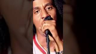 Tego Calderon Goyo  Pa Que Se Lo Gozen Remix [upl. by Leiuqeze653]