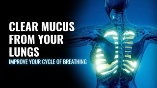 Clear Mucus from Your Lungs  Improve Your Cycle of Breathing  Get More Oxygen in Your Lungs741Hz [upl. by Anitirhc]