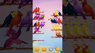 cute birds viralshort vlogs shotcutebirds bhojhpuri ganashortvidtrendingshorts trending [upl. by Barrus]