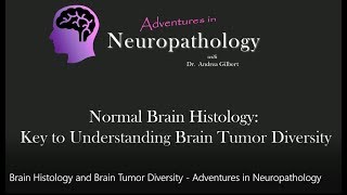 Brain Histology and Brain Tumor Diversity  Adventures in Neuropathology [upl. by Eirrab]