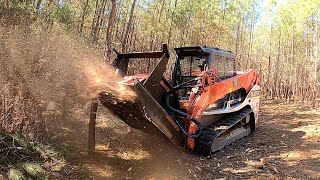 EXPLODING WHOLE TREES LIKE CONFETTI Rut Disc Mulcher VS Drum Mulcher Which Is Better [upl. by Powell]