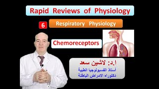 Physiology ReviewsRespiration Chemical regulation of respiration chemoreceptors [upl. by Eilujna]