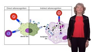 Megan Sykes Columbia U 1 Introduction to Transplantation [upl. by Ennoitna]