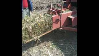 Baling Vetiver Grass for Boiler Fuel [upl. by Bunnie473]