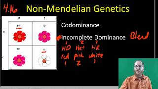 NonMendelian Inheritance [upl. by Orville]