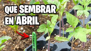 Que sembrar en ABRIL 🌱 Calendario de Siembra 2023  La Huerta de Ivan [upl. by Emmalyn]