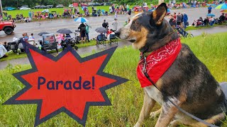 Bagpipes Cattledog at parade Happy 4th of July 2024 [upl. by Richelle]