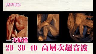 一次搞懂2D 3D 4D 高層次超音波│嬰兒與母親 [upl. by Nyroc]