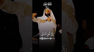 Sheikh Mansour Al Salimi Beautiful Recitation shorts quran [upl. by Dayiz994]