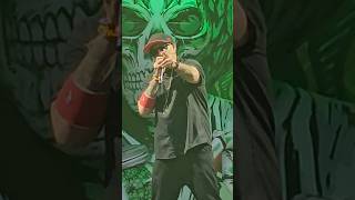 Cypress Hill Hits from the Bong Live Sonic Temple 2024 [upl. by Yssirhc]