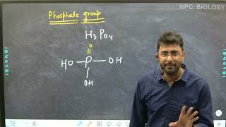 Lec  16  Nucleic Acid  part 2  Nucleotide  Biomolecule class 11 and NEET [upl. by Nauqel]