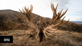 Venator New Zealand  Three Massive Red Stags Scoring Over 900 SCI [upl. by Eob]