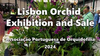 Lisbon Orchid Show and Sale  APO 2024 [upl. by Dnumyar]