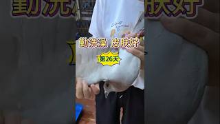 勤洗澡澡，皮膚好好！鴿友們多久給鴿子洗一次澡啊 鸽子 賽鴿 [upl. by Htezil411]