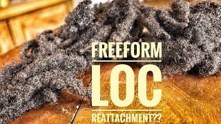 How Do I Feel About Freeform Loc Reattachment [upl. by Beedon]