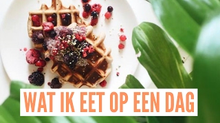 VEGAN  Wat Ik Eet Op Een Dag 9  Calorieën en Proteïnen  Basimella [upl. by Ajed]