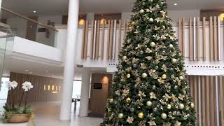 Guayarmina Princess Hotel Tenerife [upl. by Beaumont]