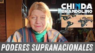 Los Poderes Supranacionales  Dra Chinda Brandolino [upl. by Riesman]