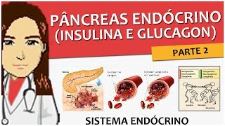 Sistema Endócrino 09 Pâncreas Endócrino Fisiologia insulina e glucagon  Vídeo aula [upl. by Lebatsirhc]