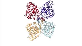 Tyrosine hydroxylase [upl. by Jarret]