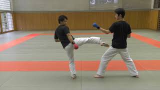 【KARATE TUTORIAL】Kumite Tactics Against Bigger Opponents [upl. by Ecinrev]