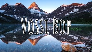 Stormzy  Vossi Bop Clean  Lyrics [upl. by Dalston]