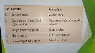 Difference between Chordates amp NonChordates [upl. by Linson]