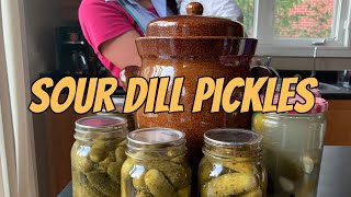 Sour dill pickles in fermenting crock [upl. by Ennaer666]