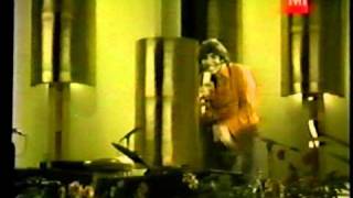 Sandro cantando quotMaria la bravaquoten Viña del mar Chile1975 [upl. by Ecirtnom338]