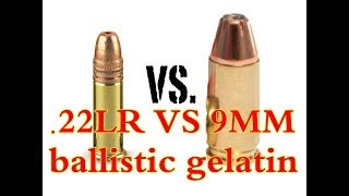 22 LR VS 9mm เทียบอานุภาพกระสุน [upl. by Yl422]