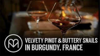 Velvety Pinot and Buttery Snails in Burgundy France [upl. by Sug]