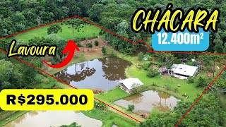 CHÁCARA PRÓXIMO DE CURITIBA TANQUE DE PEIXE ÁREA DE PLANTIO 3KM DA CIDADE POMAR E MUITA AGUA [upl. by Odlaw846]