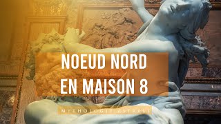 Nœud nord en maison 8  la voie de la transformation [upl. by Linsk]