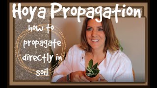 Detailed Hoya Propagation in Soil [upl. by Oman217]