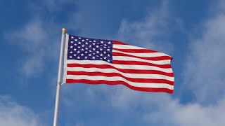 USA waving flag animation [upl. by Awram935]