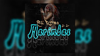 EL Ritmo De Las Marimbas DJ Monst3r5 Gogueo 2021 Kury guaracha [upl. by Luce]