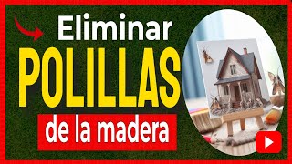 🔴 Como ELIMINAR las POLILLAS DE LA MADERA con remedios caseros [upl. by Patrich843]