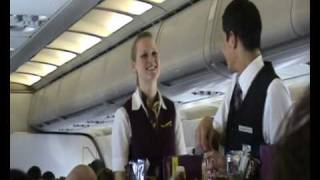 We love flight attendants [upl. by Christoph969]